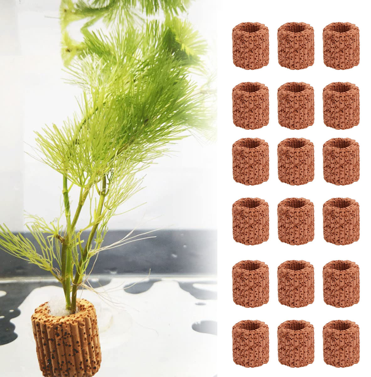 Plant Aquarium Pot - 10/20 шт. фиксированное кольцо для водных