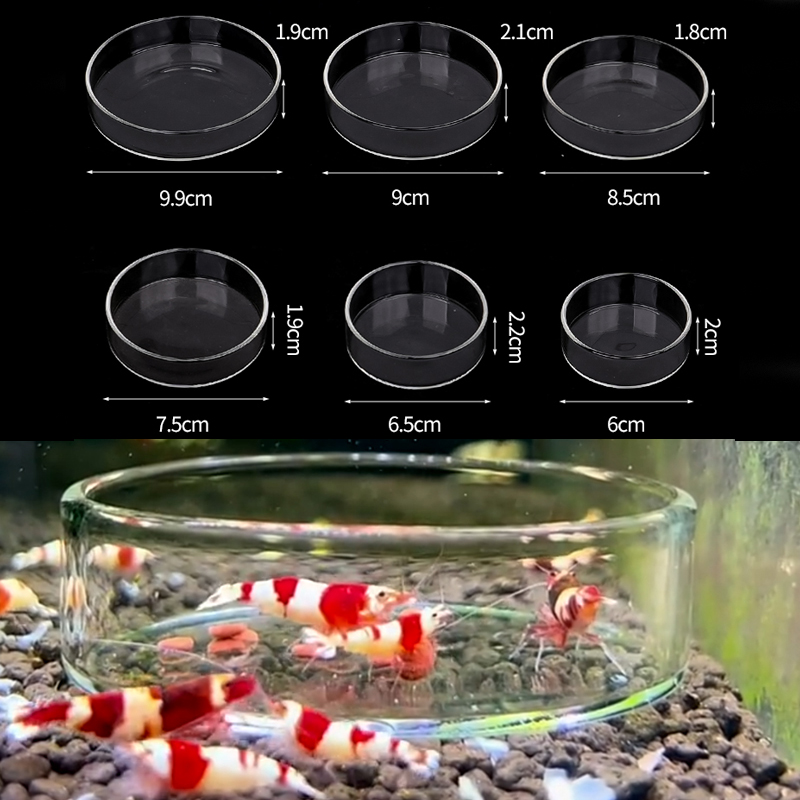 Aquarium Fertilizer - Блюдо для кормления креветок, высокопрозрачное стекло,