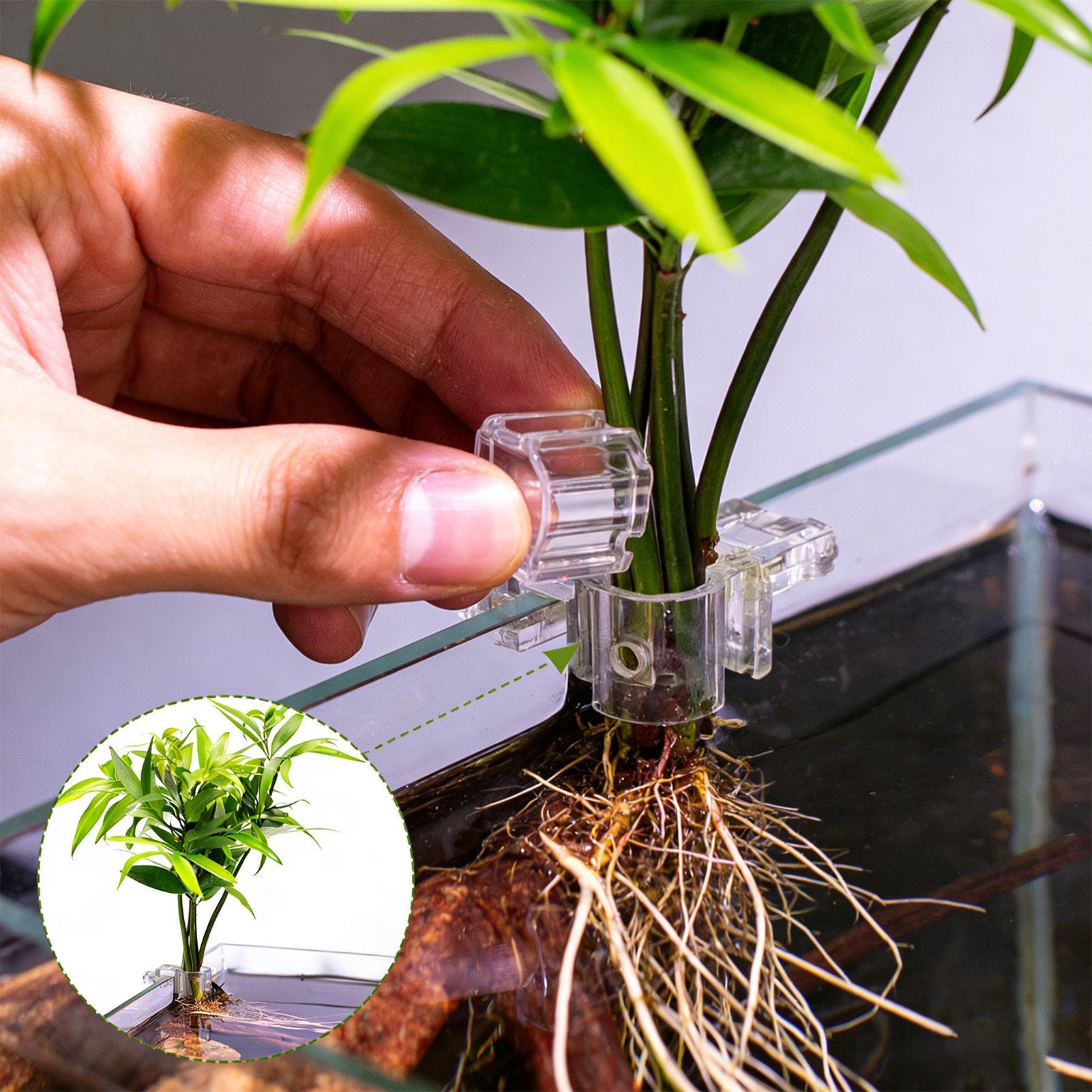 Aquarium Plants Live - Набор из 6 прозрачных подставок для
