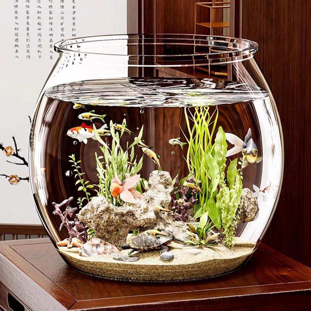 Plant Aquarium Pot - Прозрачная пластиковая круглая миска для рыбы,