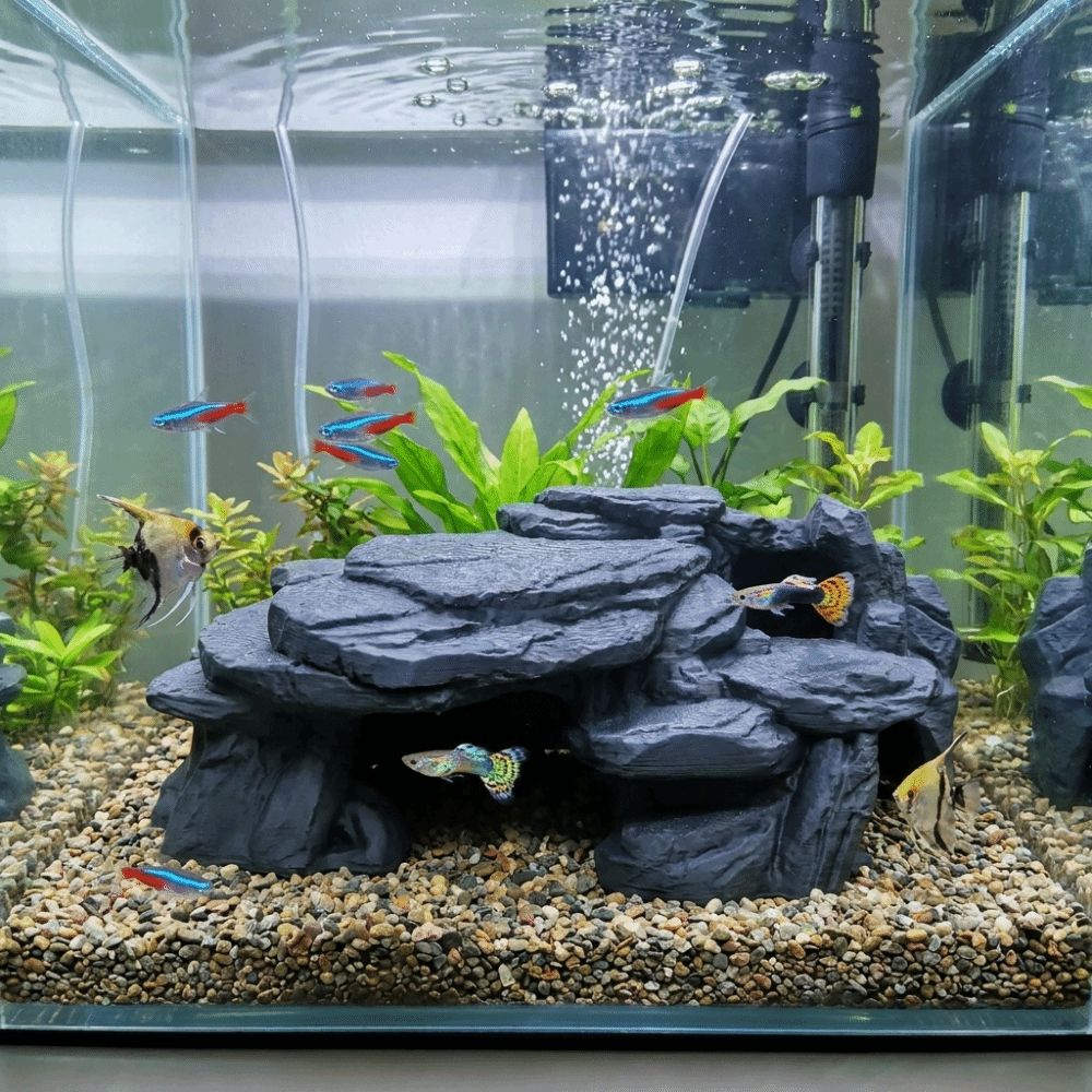 3D-печатные декорации для аква – обзор и цена Aquarium Plants Live