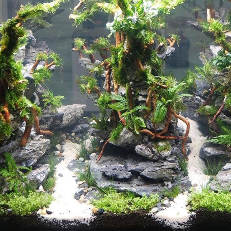 Натуральный корень/ствол из ко – обзор и цена Aquarium Driftwood