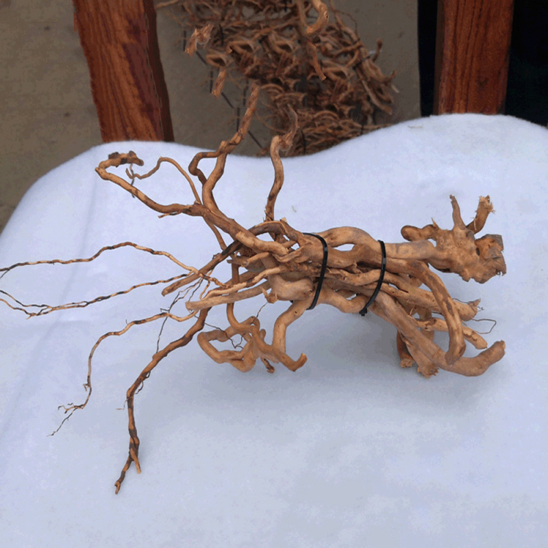 Натуральный корень/ствол из ко – обзор и цена Aquarium Driftwood