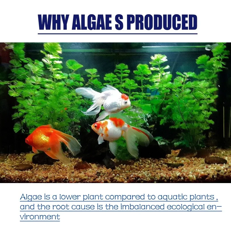 50 г высокоэффективного альгиц – обзор и цена Aquarium Moss