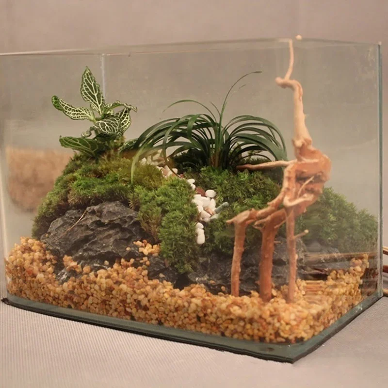 Натуральный ствол дерева Drift – обзор и цена Aquarium Plant Substrate