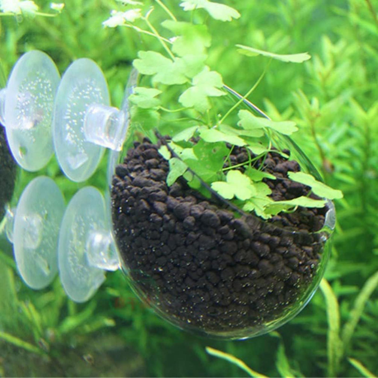 Держатель для аквариумных раст – обзор и цена Aquarium Plants Live