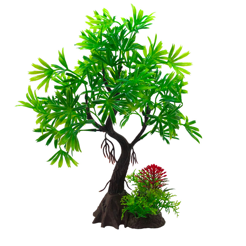 Декоративные растения для аква – обзор и цена Live Plant Aquarium