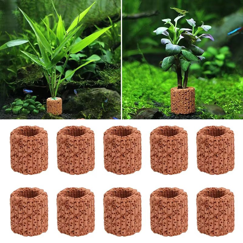 Фиксированное кольцо для водны – обзор и цена Aquarium Plants Live