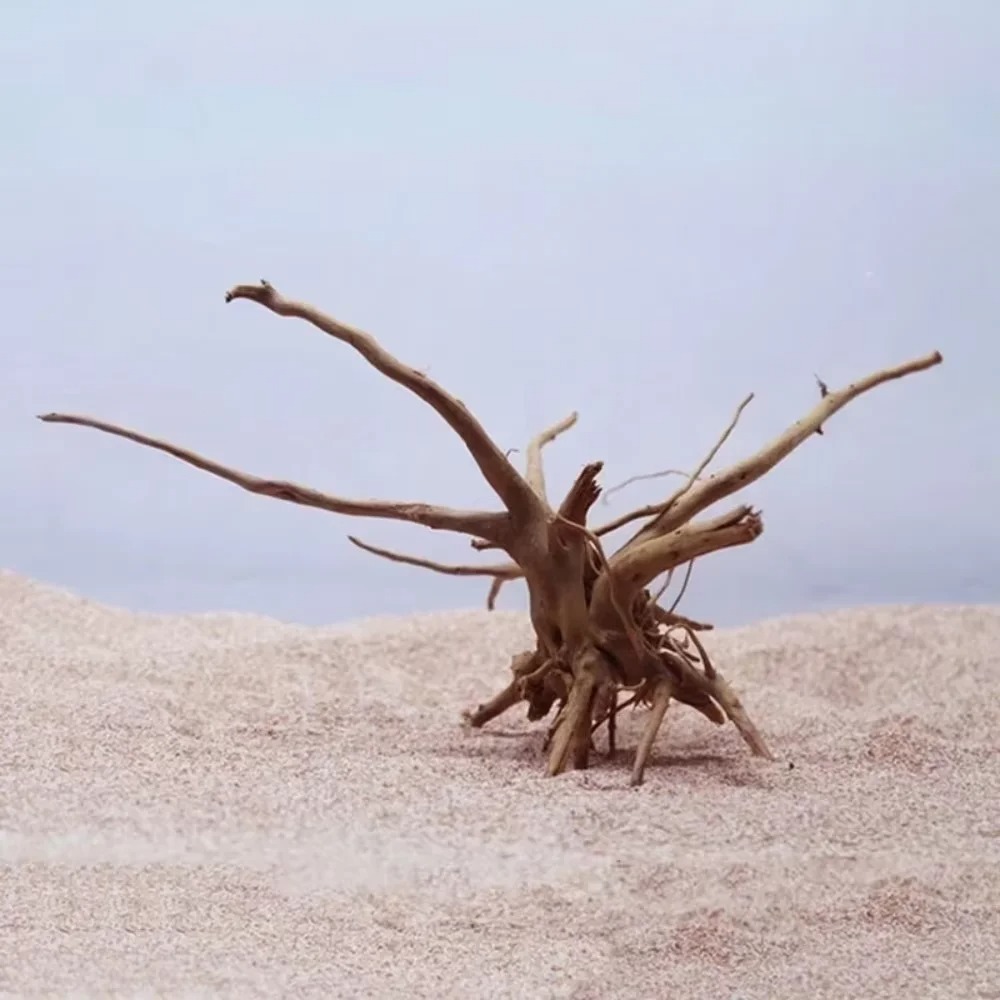 Декор для аквариума из натурал – обзор и цена Aquarium Driftwood