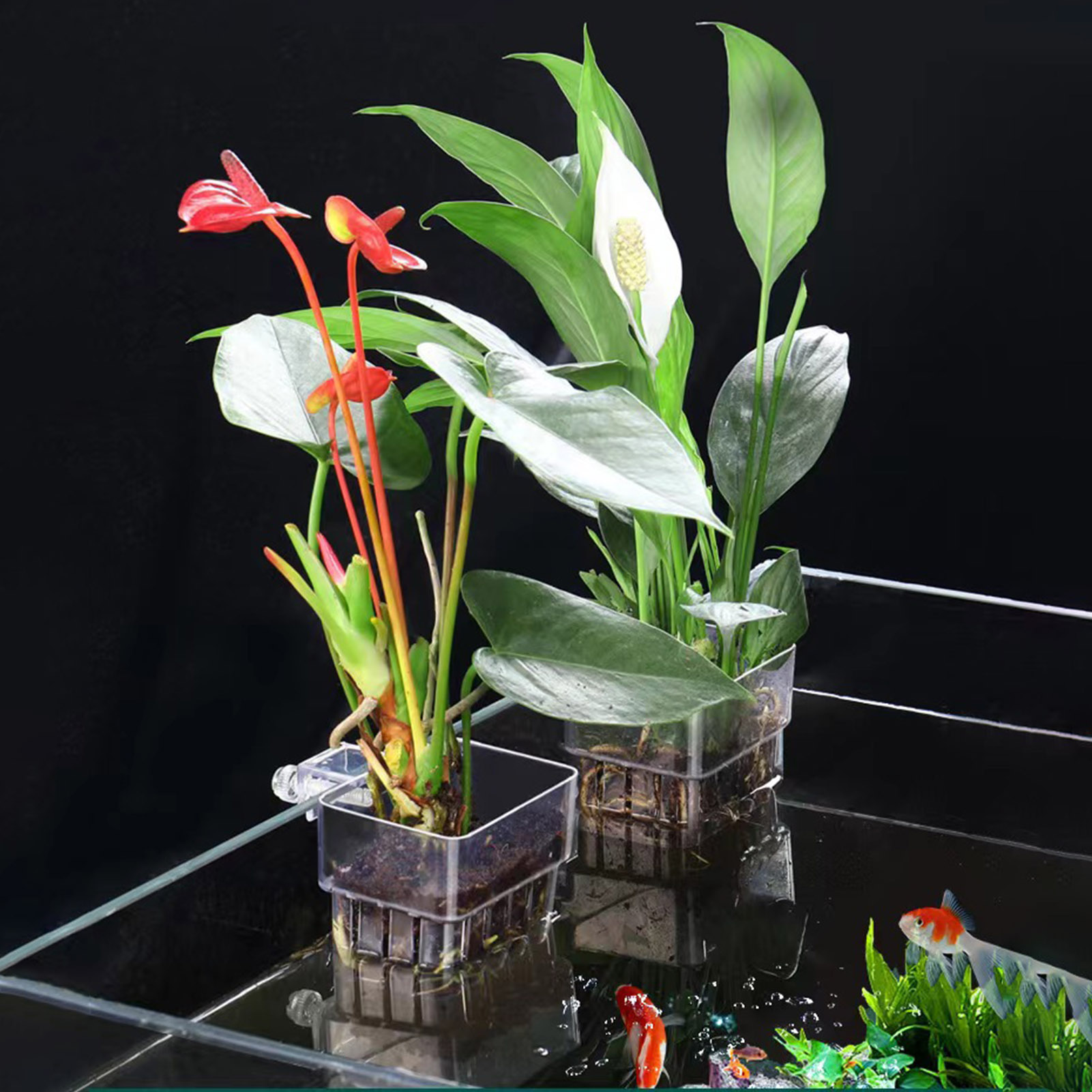 Прозрачная акриловая подставка – обзор и цена Aquarium Plant Holder