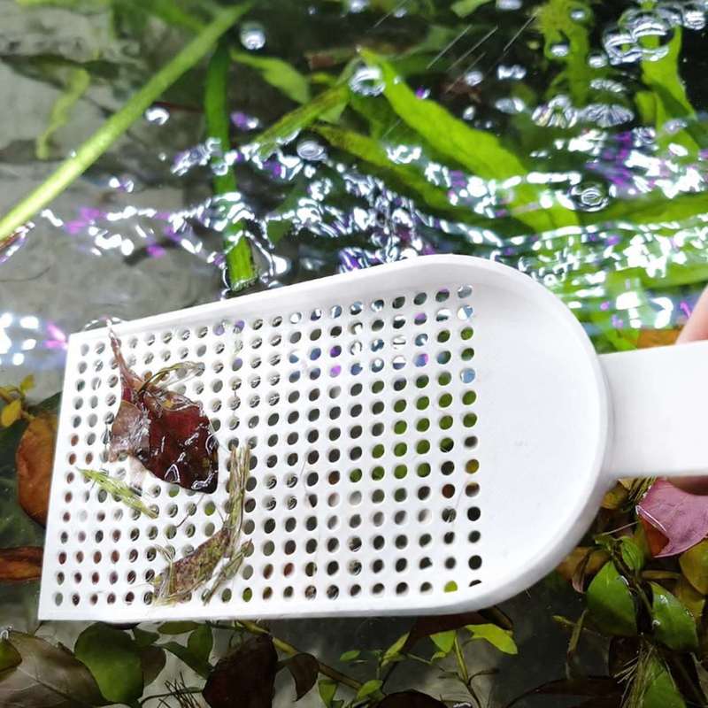 Сетка-сачок для очистки аквари – обзор и цена Planted Aquarium Cleaning