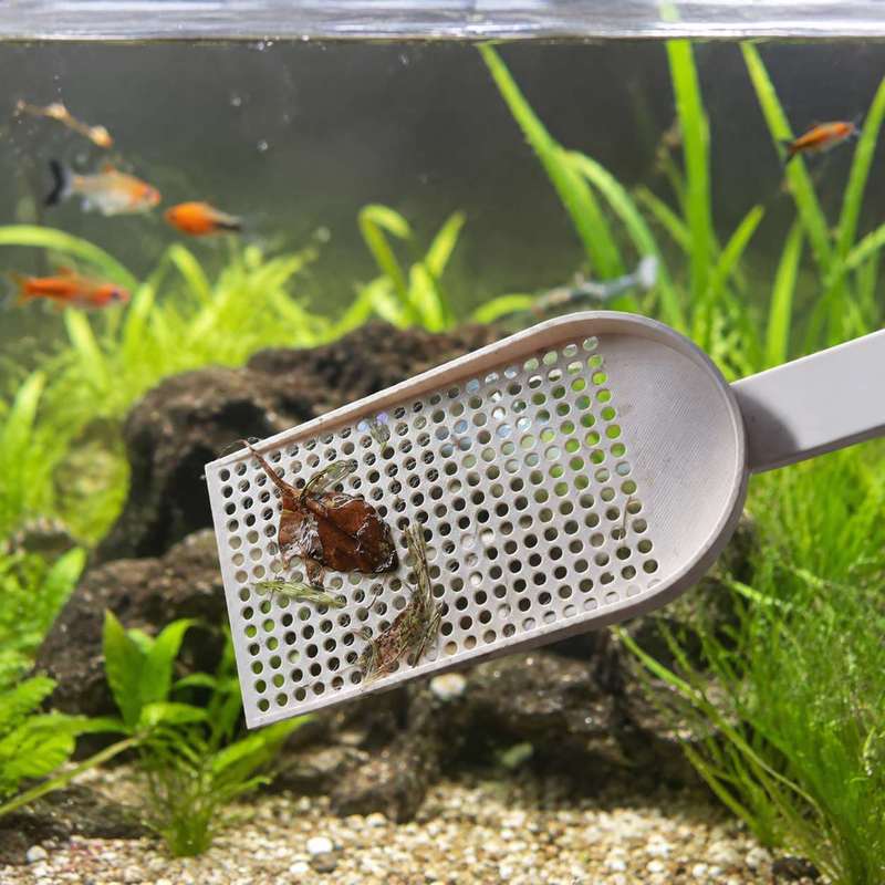 Сетка-сачок для очистки аквари – обзор и цена Planted Aquarium Cleaning