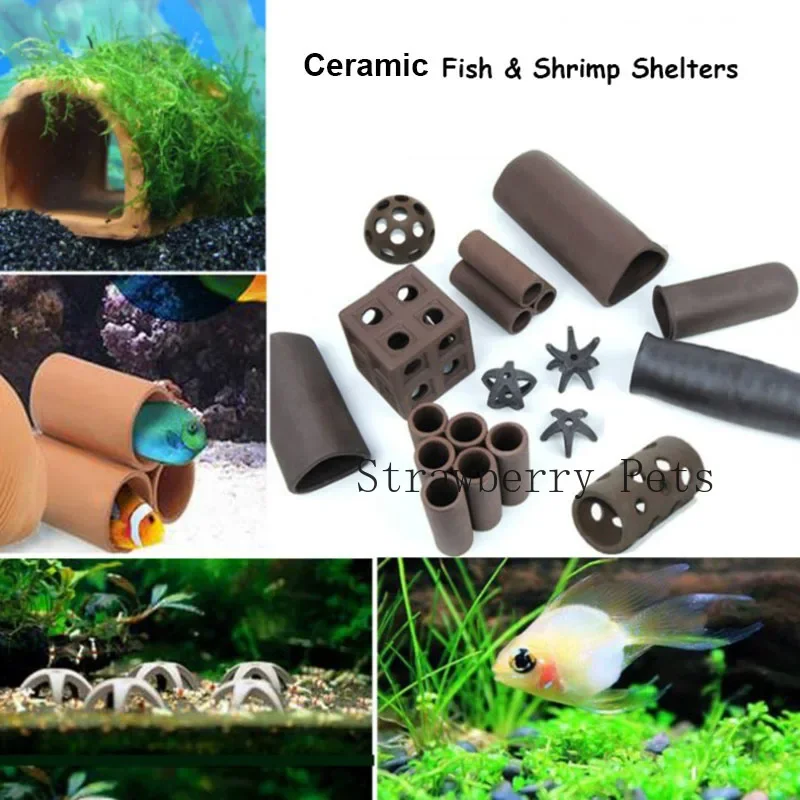 Керамическое украшение для акв – обзор и цена Aquarium Plants Live