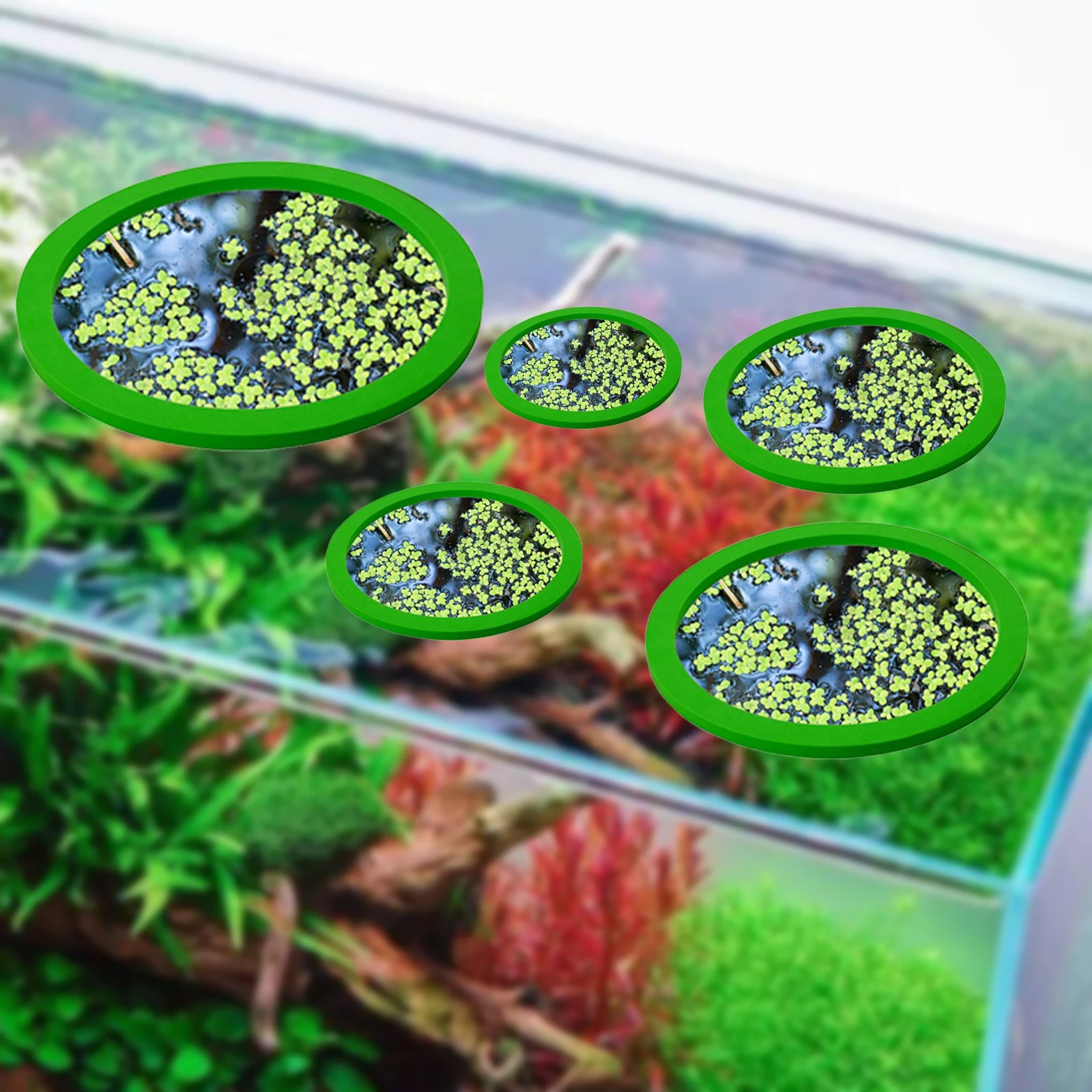 5 шт., кольцо для кормления ры – обзор и цена Planted Tank