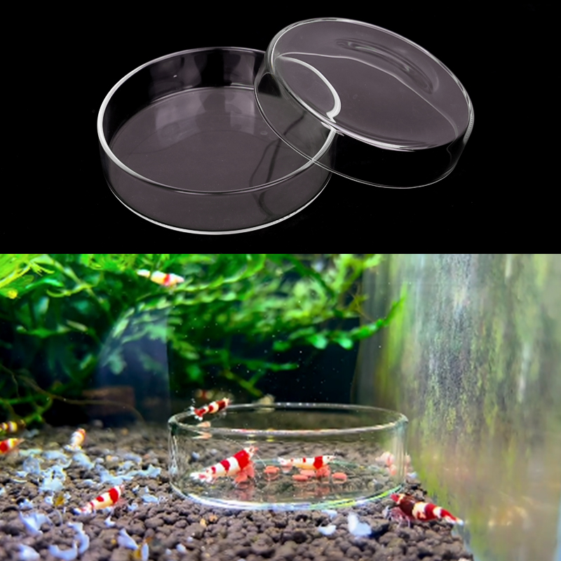 Блюдо для кормления креветок,  – обзор и цена Aquarium Fertilizer