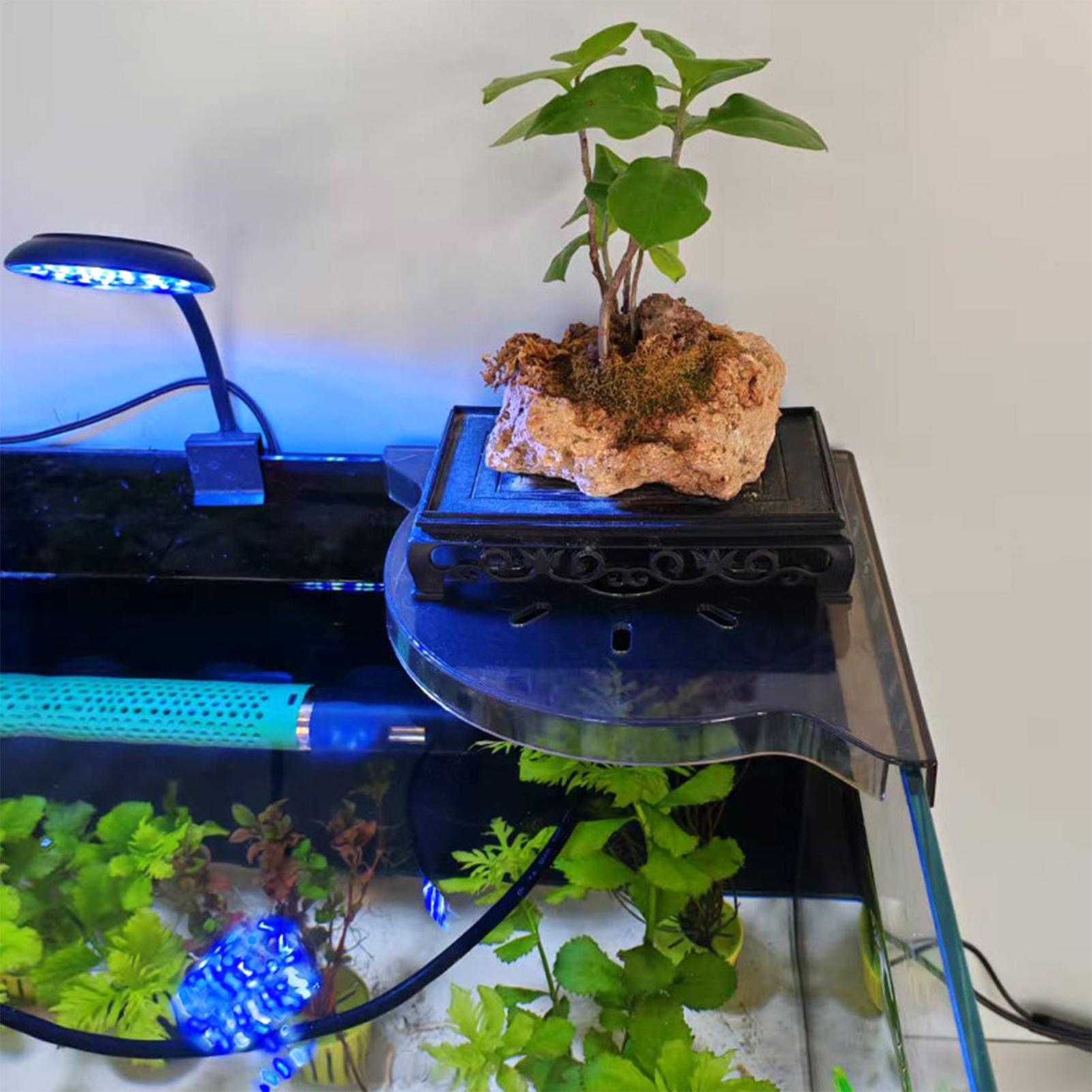 Треугольная угловая полка для  – обзор и цена Aquarium Plants Live
