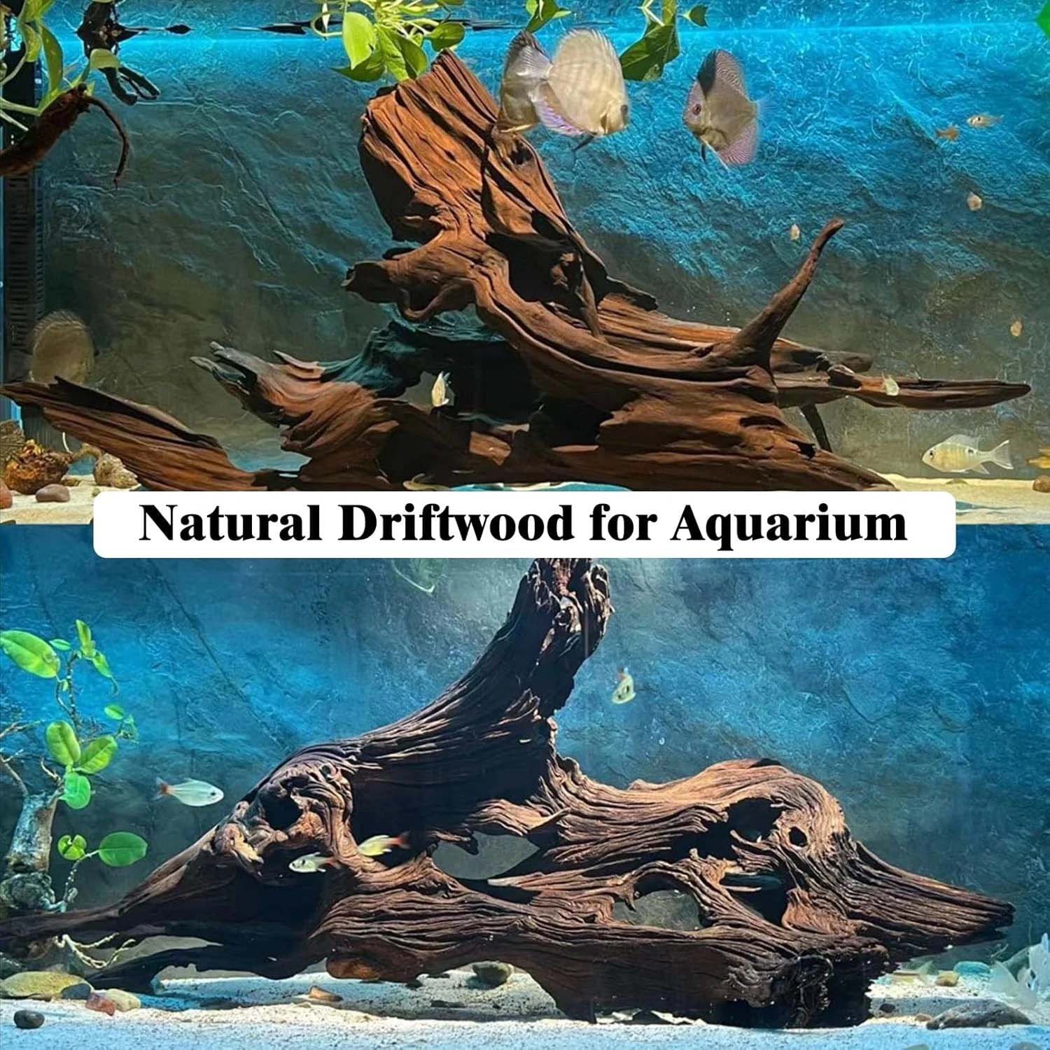 15-20 см, 1 шт. Натуральная ко – обзор и цена Aquarium Plant Substrate