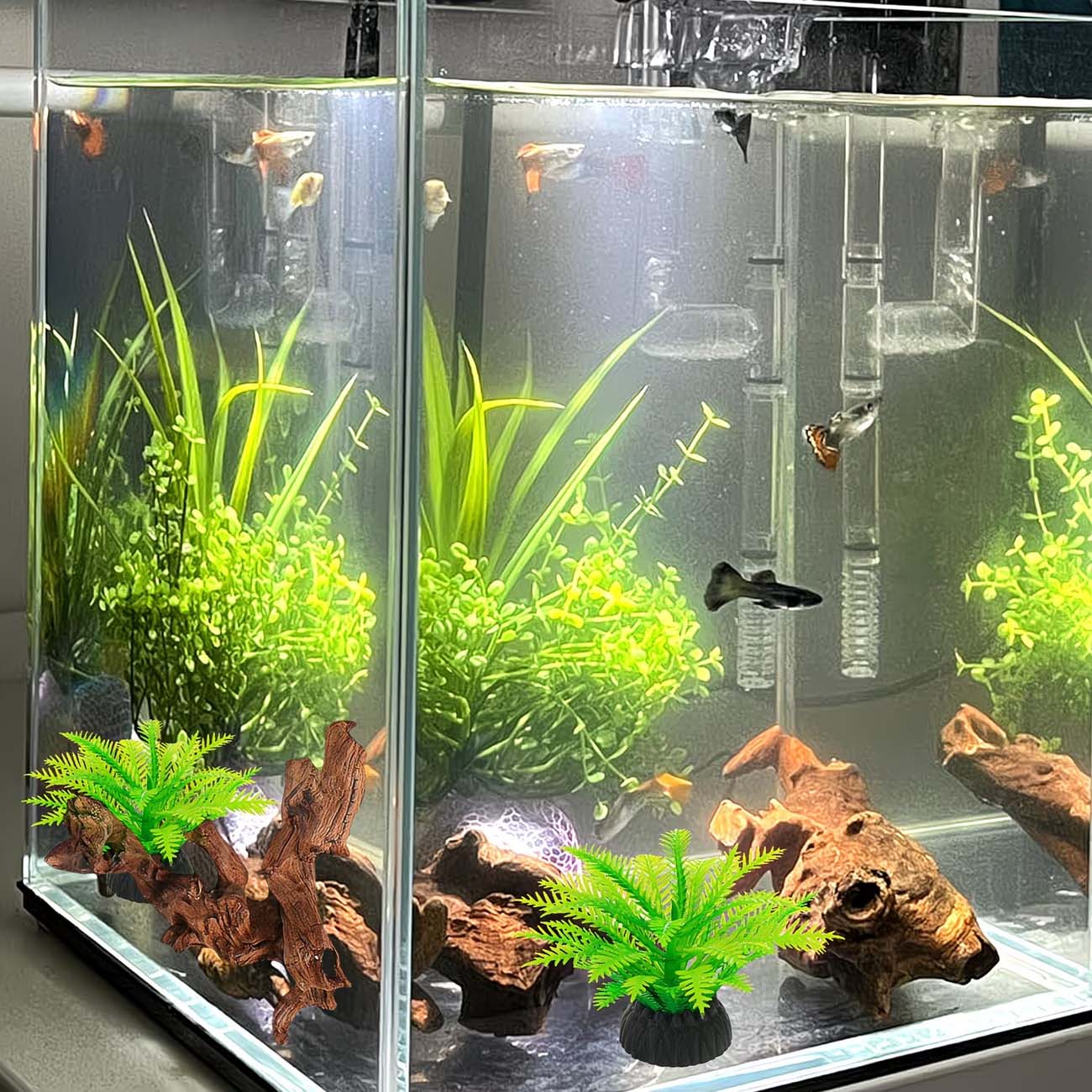 Натуральная тонущая коряга 5-1 – обзор и цена Aquarium Driftwood