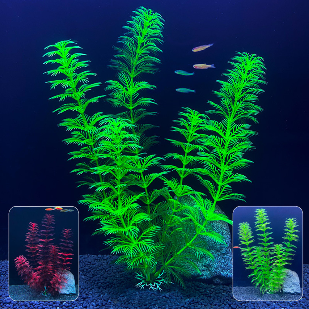 Искусственные аквариумные раст – обзор и цена Aquarium Plants Live