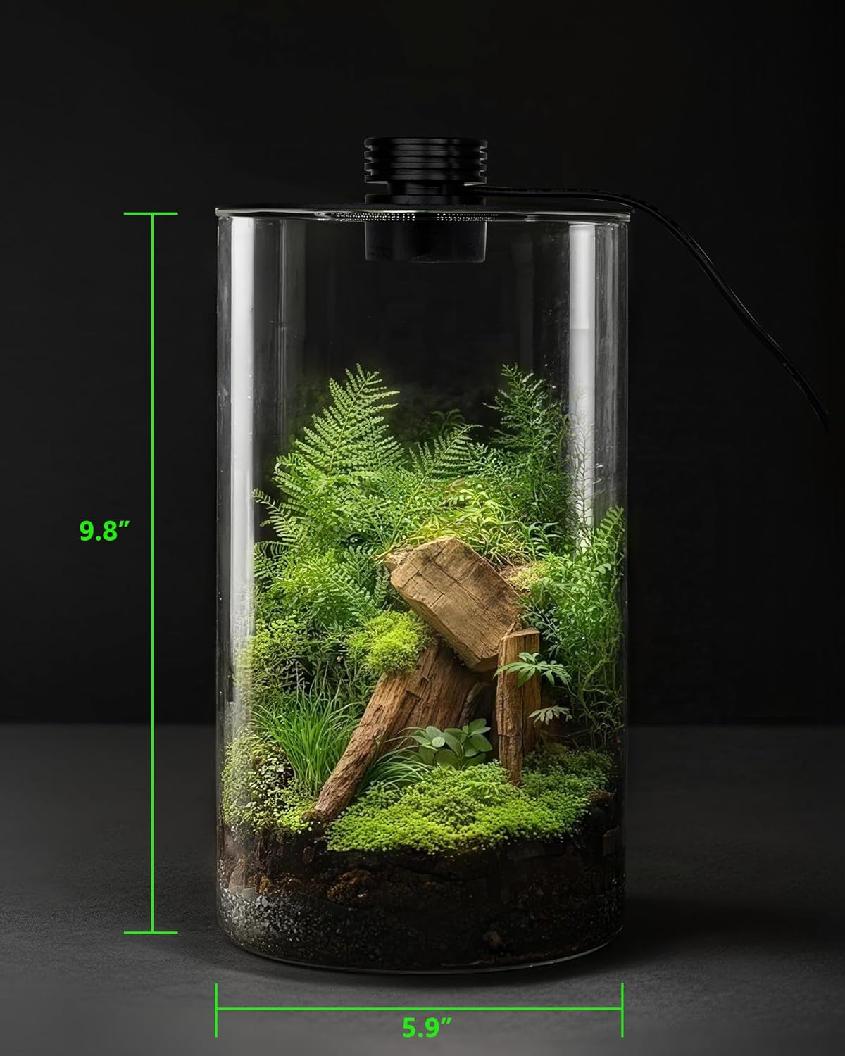 Стеклянный террариум для помещ – обзор и цена Planted Tank