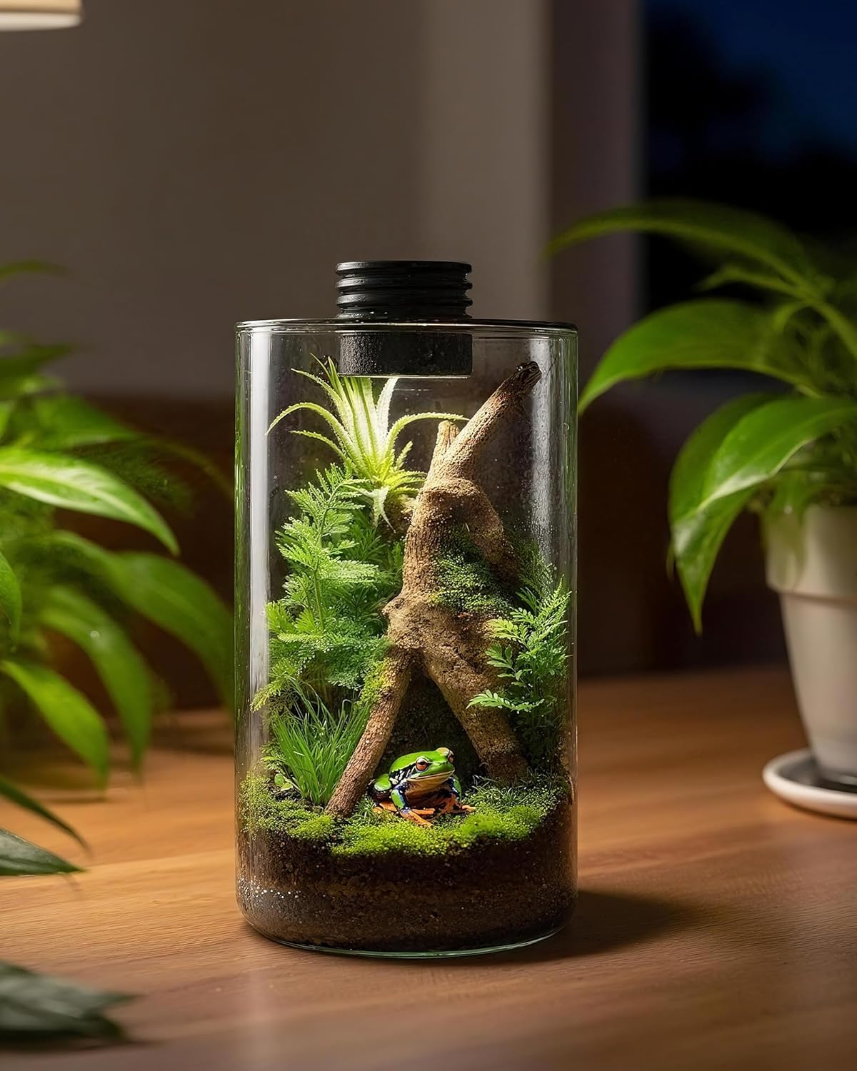 Стеклянный террариум для помещ – обзор и цена Planted Tank