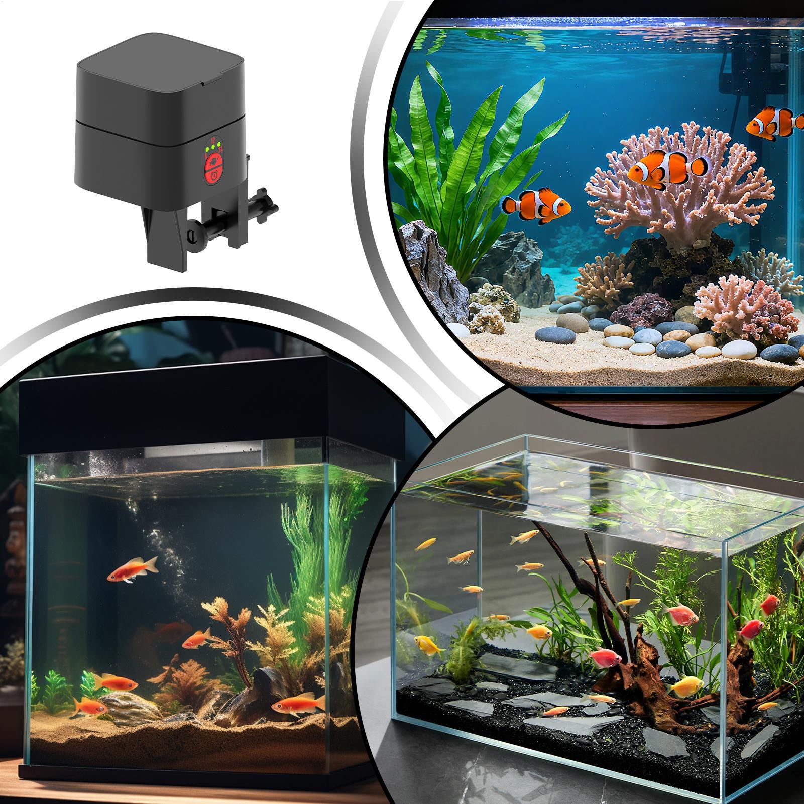 Автоматическая кормушка для ры – обзор и цена Aquarium Fertilizer