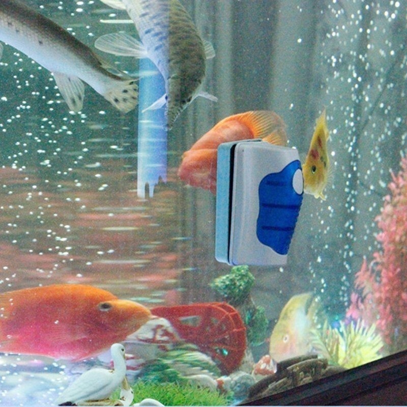 Скребок для чистки стекла аква – обзор и цена Planted Aquarium Cleaning