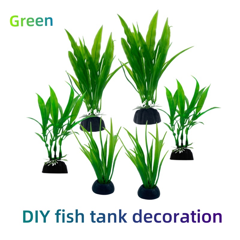 6 шт. в упаковке аквариумных р – обзор и цена Aquarium Plants Live