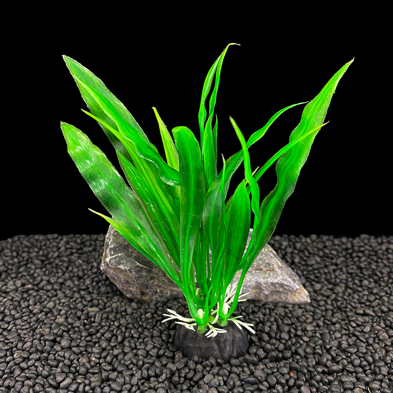 6 шт. в упаковке аквариумных р – обзор и цена Aquarium Plants Live