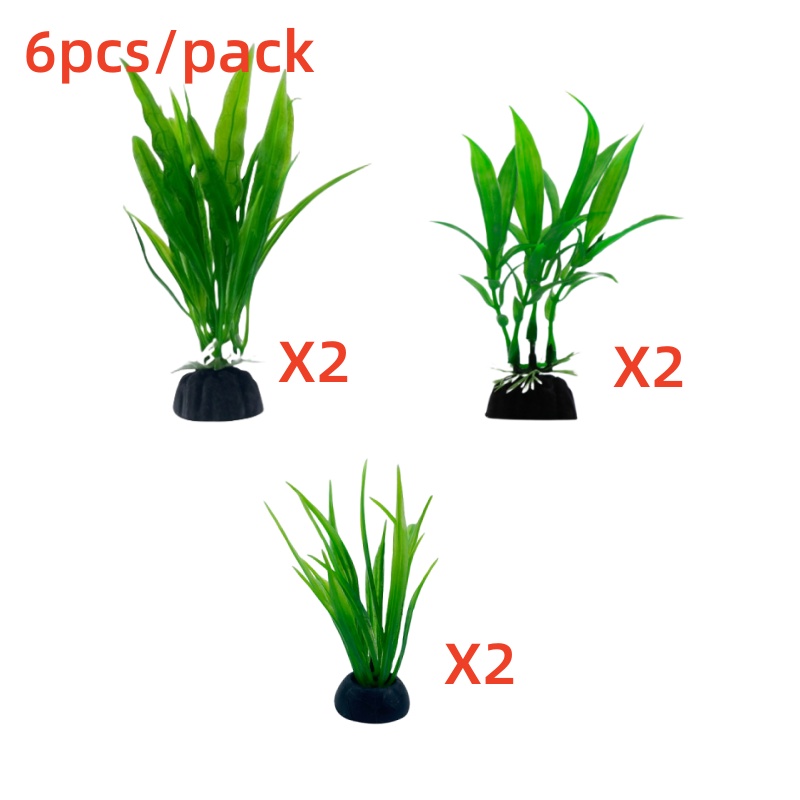 6 шт. в упаковке аквариумных р – обзор и цена Aquarium Plants Live